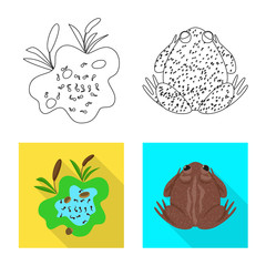 Vector illustration of wildlife and bog sign. Set of wildlife and reptile stock symbol for web.