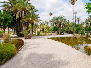 Fototapeta na wymiar A beautiful garden in a palm grove in Elche, Spain.