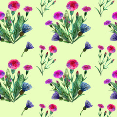 Watercolor wildflowers. Seamless pattern with a bouquet of pink carnations and blue cornflowers light green