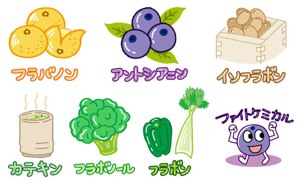 ファイトケミカル」の写真素材 | 5,575件の無料イラスト画像 | Adobe Stock