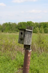 A close view on the birdhouse in the country prairie.