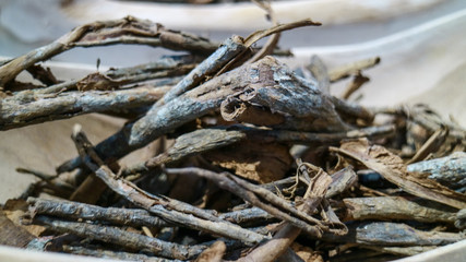 Fototapeta na wymiar Dried cinchona skin in a wooden bowl. 