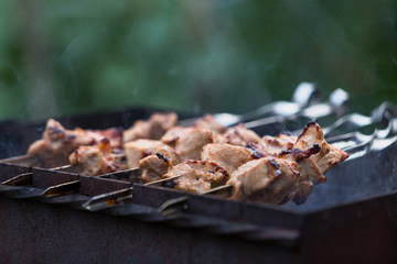 Cooking shashlik on the mangal in nature. Selective focus.