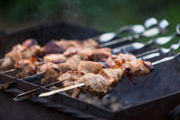 Cooking shashlik on the mangal in nature. Selective focus.