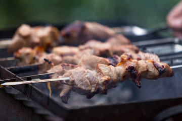 Cooking shashlik on the mangal in nature. Selective focus.