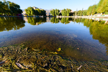 Awesome landscape with lake and willow trees, Armenia