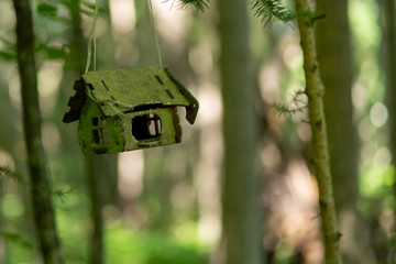 photo of bird house in cold summer forest