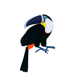 Tropical bird Toucan family of toucans on white background. Vector illustration. - 278351715