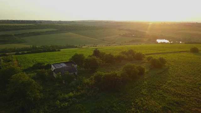 Slow Aerial shot flying over a green field during sunset