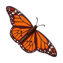 Vector illustration of butterfly and spring sign. Set of butterfly and decorative stock symbol for web.