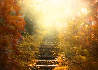 Herbsthintergrund, Treppe zum Himmel. Erstaunliche mysteriöse Straßenstufen führen in eine mystische Welt, ein Märchenpfad versteckt sich zwischen gelben und orangefarbenen Bäumen, ein magischer Oktober im nebligen Wald, die Schönheit der Natur © kharchenkoirina