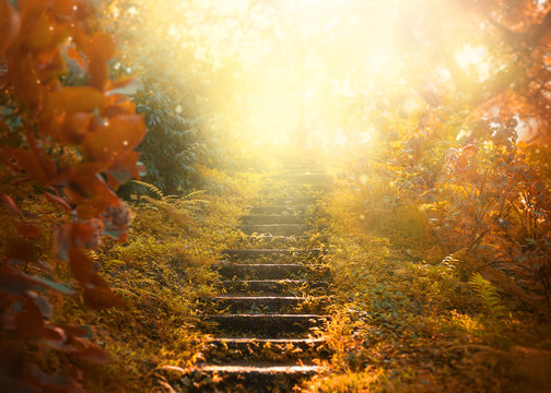 Autumn background, stairs to the sky. amazing mysterious road steps leads to mystical world, fairytale path hides among yellow and orange trees, magical October in foggy forest, beauty of nature