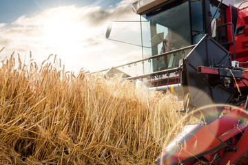 beautiful landscape with a combine harvester in action