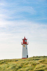 Fototapeta na wymiar Lighthouse red white on dune.