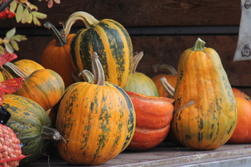 pumpkins 12