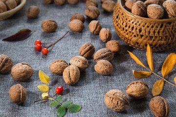 Still life with walnuts. Whole walnuts and rose hip in wicker bowls on the table cloth.