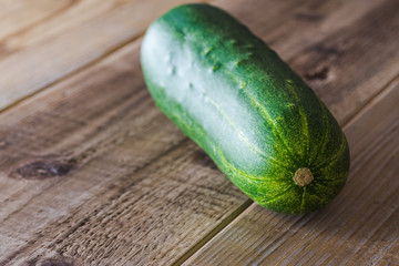 加賀野菜　加賀太きゅうり