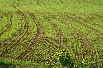 landschaft beim bauerndorf 