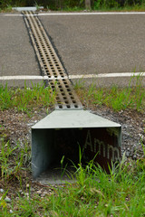 Amphibienleitsystem  unter der Straße