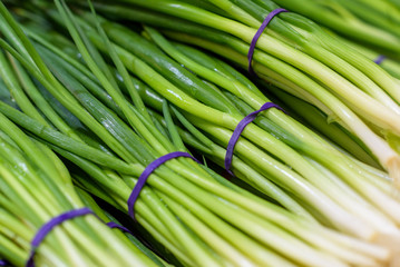 Bunches of green Spring Onions with purple rubber bands.