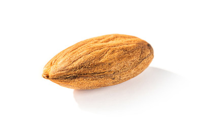almond seed isolated on white background