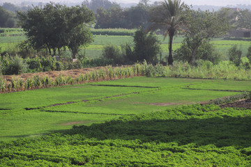 From 26 th of July road