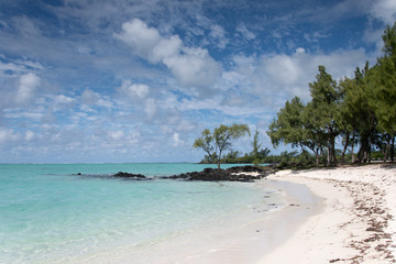 Fototapeta na wymiar Strand auf Mauritius