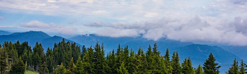Banner panorama of Oregon coniferous green forests and mountains with cloudy skies 