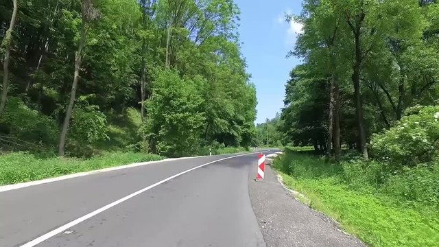 Beautiful forest road view drone video Bakony Hungary Summer 2019 Europe