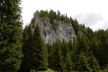 rocky mountain 