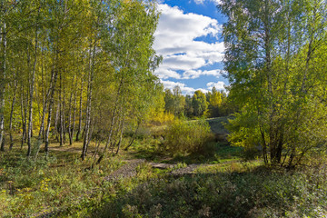 Beautiful autumn landscape.