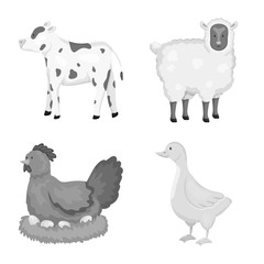 Vector illustration of homestead and agriculture symbol. Collection of homestead and kitchen vector icon for stock.