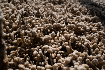 Salt extraction in Bad Dürrenberg, Germany