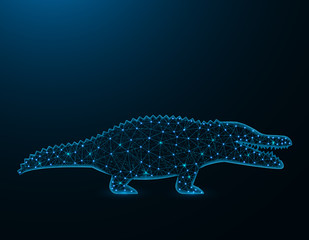 Crocodile low poly model, African animal polygonal wireframe, reptile vector illustration on dark blue background