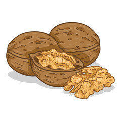 Vector Cartoon Pile of Walnuts