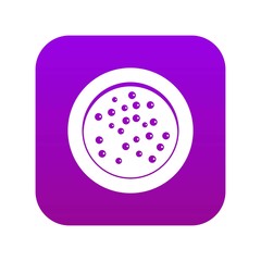 Peppercorns on a plate icon digital purple for any design isolated on white vector illustration