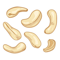 Vector Set of Cartoon Color Cashew Nuts
