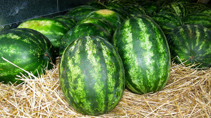 watermelons