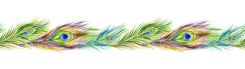 Obraz premium Peacock feather seamless border, watercolor painting on white background.
