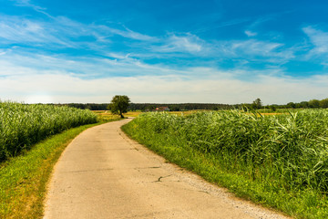 Farmland in Bavaria in Germany