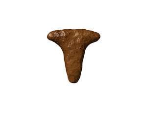 Brown mud or shit alphabet - letter T isolated on white background, 3D illustration of symbols