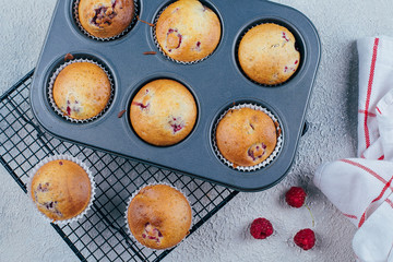 Baked Raspberry Muffins on a cooling rack on blue concrete table background. Top view, copy space. Breakfast concept