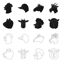 Vector design of agriculture and breeding logo. Collection of agriculture and organic stock symbol for web.