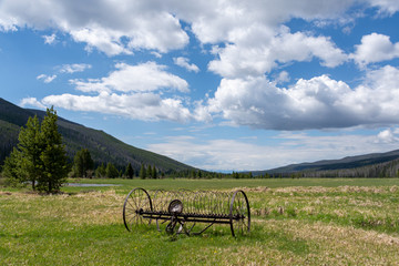 Fototapeta na wymiar Plow in the Rocky Mountain National Park, Colorado, USA