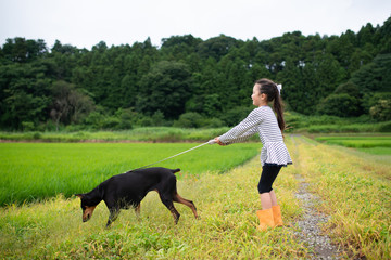 犬の散歩