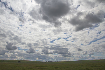 view of the field under the blue sky and white clouds