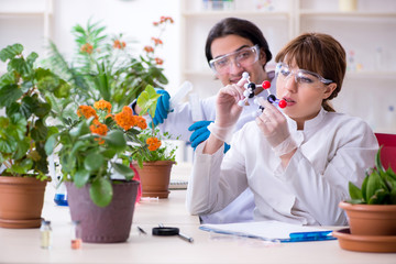 Two young botanist working in the lab 