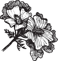 Mallow flower in ink drawn manner, vector illustration