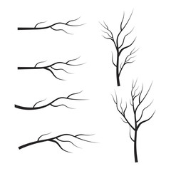 Set of dry tree branch silhouette. Leaves, swirls and floral elements