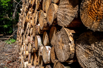 bois coupé et empilé